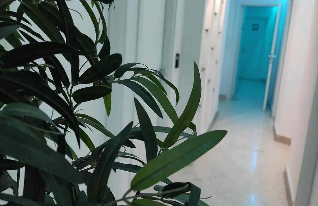 Palermo Central B&B-1
