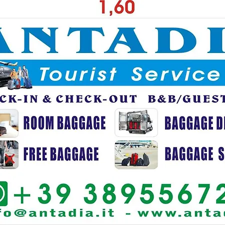 Antadia B&B-3
