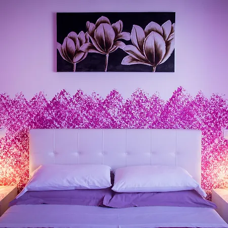 Colors B&B-2